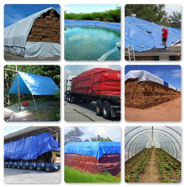 篷布：守護(hù)您的世界，從細(xì)節(jié)開始